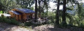 Cabane Chalet isolé en pleine forêt - Lespinassière - 3