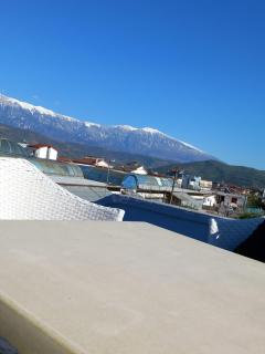 Guest House Zotkaj - Berat - 3