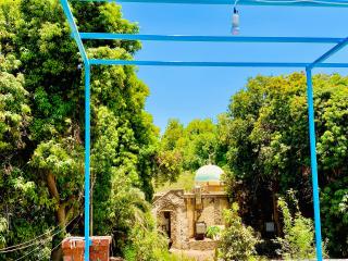 Garden view - Assuan - 2