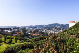 Ooty Hill Shades - Ooty - 2