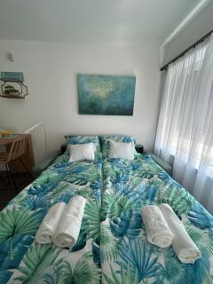 Blue Lagoon Apartment - 4
