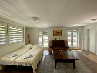 Relax Apartment Private pool - Sarajevo - 8