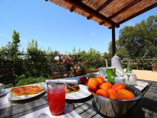 Chic Farmhouse in Montalto di Castro with Terrace - Montalto di Castro - 7
