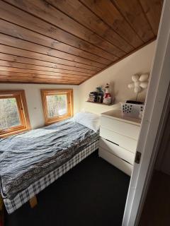 Landlig hytte med jacuzzi - Lyngdal - 1