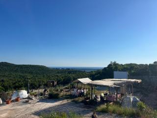 Camp Rose - Rose - 2