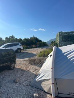 Camp Rose - Rose - 1