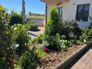 Casa Titti - - 4