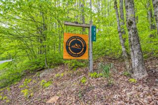 Modern Mountain Retreat Near Dolly Sods & Skiing home - Cortland - 5