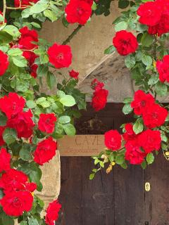 Domaine Borgnat - Escolives-Sainte-Camille - 9