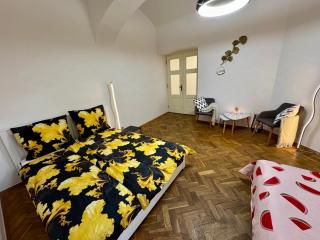 Amazing apartment in the city center - 9