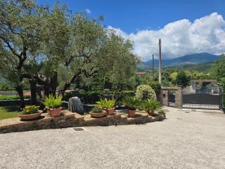 Bulgheriabeb - Celle di Bulgheria - 9