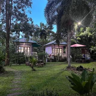 Khaosok gallery & camp - Ban Phang Kan Nua - 7