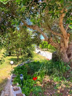 Lemon Loft - Preveza - 9