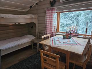 Stugan på kullen i Hemfjällstangen - Transtrand - 9