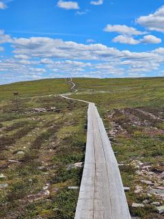 Stugan på kullen i Hemfjällstangen - Transtrand - 3