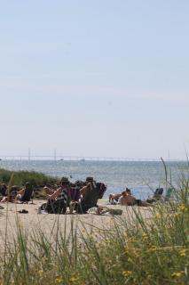 Lomma Camping - Lomma - 2