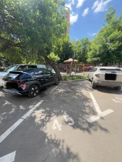 Central Palace Suites with Parking - 1