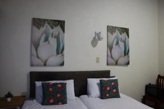Whistling Woods - Empangeni - 7