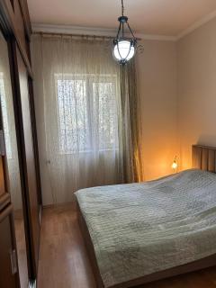 Boulevard apartment - Baku - 1
