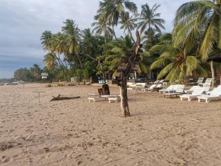 Beach Life Long Beach Resort - 5