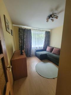 Chestnut Blossom Flat - Klaipėda - 9