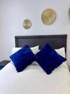 Posh 2 Bedroom Apartment with Gym - 1