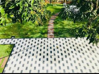 Dikwella Anuhas Villa - Dikwella - 7