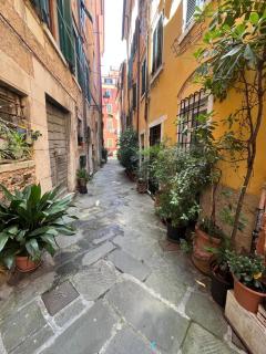La casa dei Conti - 7