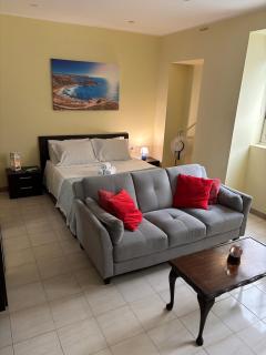 Cozy One bedroom apartment - Taʼ Xbiex - 9