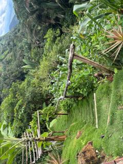 Sitio das nuvens - Guaiuba - 4