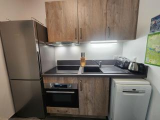 Appartement Neuf 2 Pièces avec Terrasse et Parking - Résidence de Standing entre Samoëns et Morillon - FR-1-629-128 - Samoëns - 3