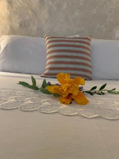 AMPELIA KYTHIRA - Livadi - 5