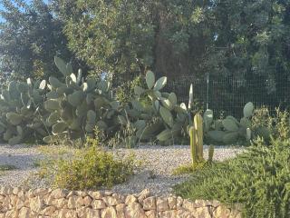 Tenuta Fico d'India - Casa Aliva - Avola - 4