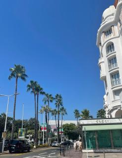Cannes Hoche Croisette Sublime T2 - Cannes - 5