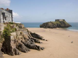 Redwing - Tenby - 5