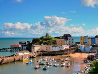 Redwing - Tenby - 4