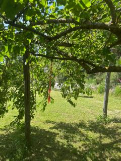 Collina di Sopra - 4