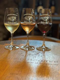 Domaine Borgnat - Escolives-Sainte-Camille - 6