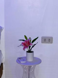 Isla Cove Guest House - San Juan - 4