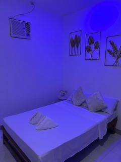 Isla Cove Guest House - San Juan - 3