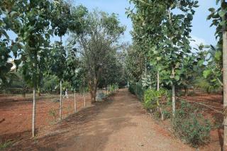 Maitree Serenity Farm Stay - - 9