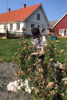 Hjortagårdens Atelje' - Munka-Ljungby - 4