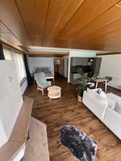 Apartment 18 am Brienzersee - Brienz - 8