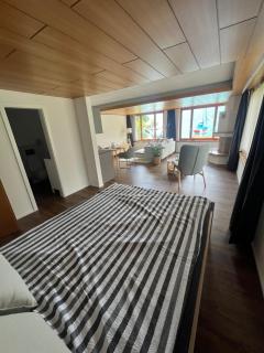 Apartment 18 am Brienzersee - Brienz - 4