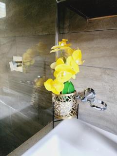 Lush Forest - Pretoria - 1