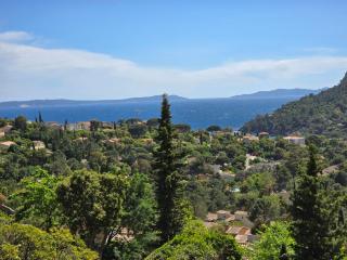 Le mazet de Sophia - Le Lavandou - 3