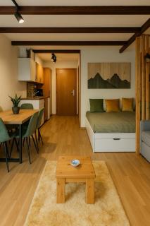 Studio alpin & central Ovronnaz avec parking - Leytron - 7