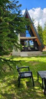 Basna FoRest - Žabljak - 6