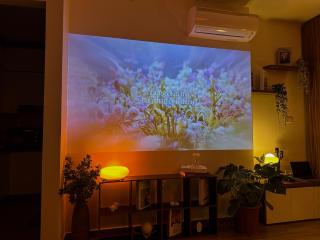 Cuong Minh Homestay - An Dương - 3