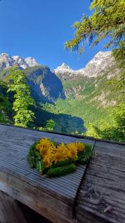 SAM`s hairBERGE Apartments - Lofer - 6